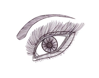 Çizilmiş göz. Grafik stili. Siyah kalem.
