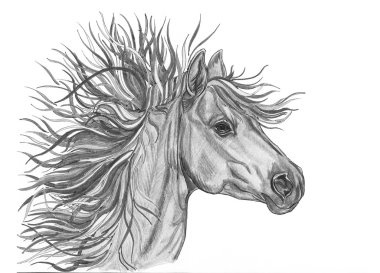 Güzel at illüstrasyon parlak renkli yaratıcı yele ile.