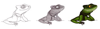 Profil kertenkele. El drawn.tutorial çizim
