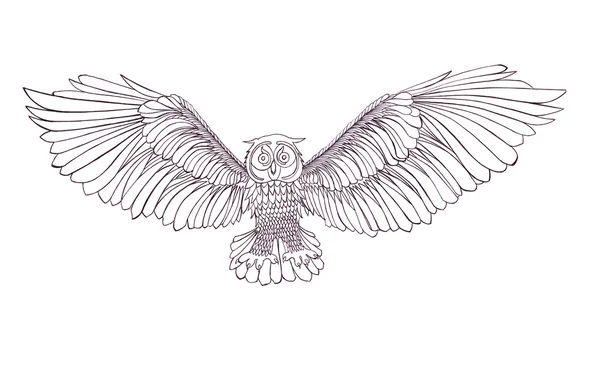 Illustration graphique du hibou volant. Style noir et blanc. Main droite — Photo
