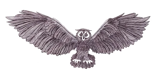 Illustration graphique du hibou volant. Style noir et blanc. Main droite — Photo