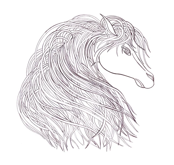 Profile of Beautiful Horse with graphic mane.Drawning by pen — Stock Photo, Image