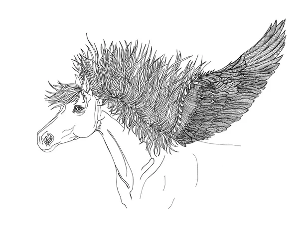 Hermoso caballo con crin y alas.Pegasus.Drawning por pluma .Clo — Foto de Stock