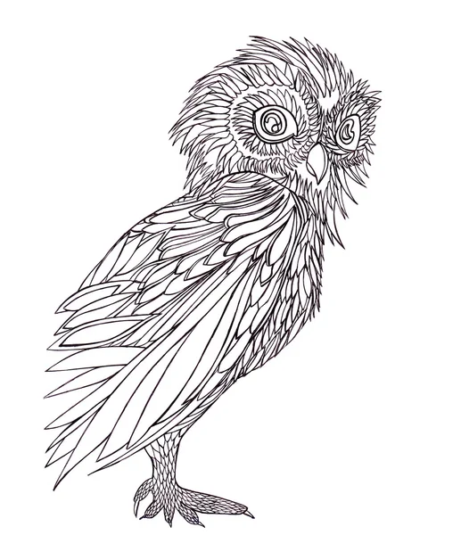 Graphic illustration owl. Black and white style. Hand drawn. — Stock Photo, Image