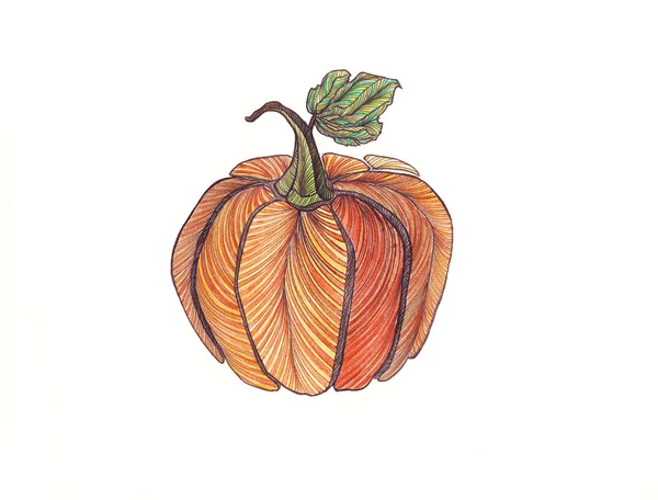 Calabaza. Dibujado con lápices de colores. Manos pintadas  . — Foto de Stock