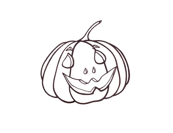 Pumpkin vegetable. drawn black pen. Artwork — Stock Photo, Image