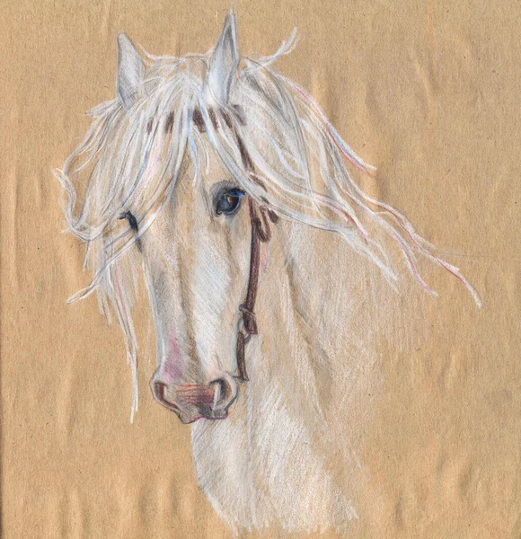Desenho a lápis colorido de um cavalo branco.Olhos bonitos . — Fotografia de Stock