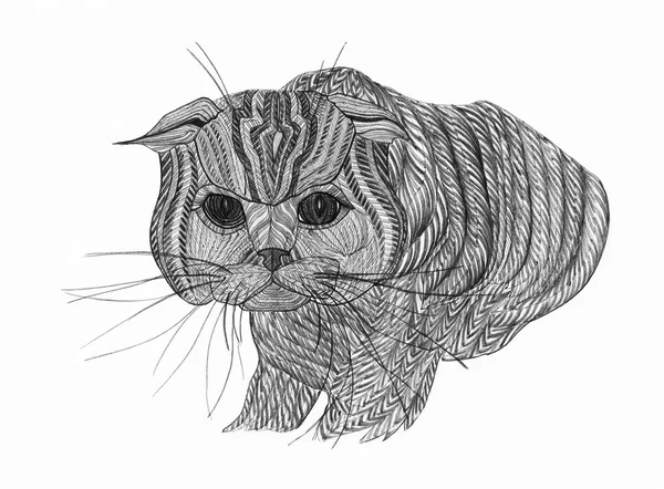 Beautiful cat. Drawn pencils . Expressive eyes . — Stock Photo, Image