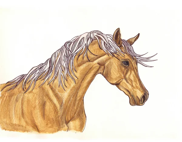 Belle illustration de cheval brun avec crinière créative inhabituelle. H — Photo