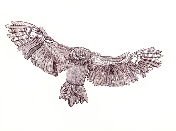 Grafische Illustration der fliegenden Eule. Schwarz-Weiß-Stil. Hand — Stockfoto