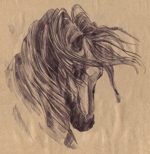 Černý kůň. Grafika — Stock fotografie