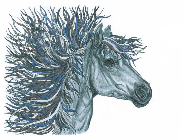 Krásný kůň ilustrace s světlé hnědé kreativní hřívu. Ha — Stock fotografie