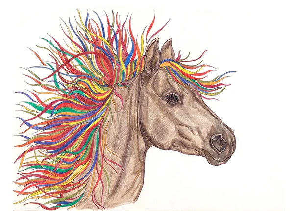 Vackra häst illustration med ljusa färgglada kreativa manen. — Stockfoto