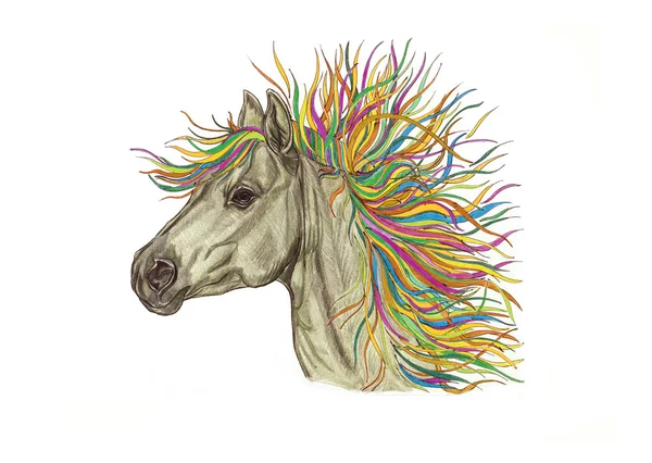 Bela ilustração cavalo com crina criativa colorida brilhante . — Fotografia de Stock