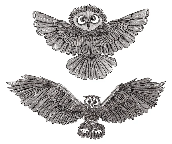 Graphic illustration owl. Black and white style. Hand drawn. — Stock Photo, Image