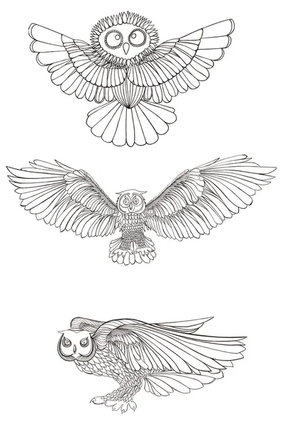 Графічна ілюстрація сови. Чорно-білий стиль. Рука намальована . — стокове фото