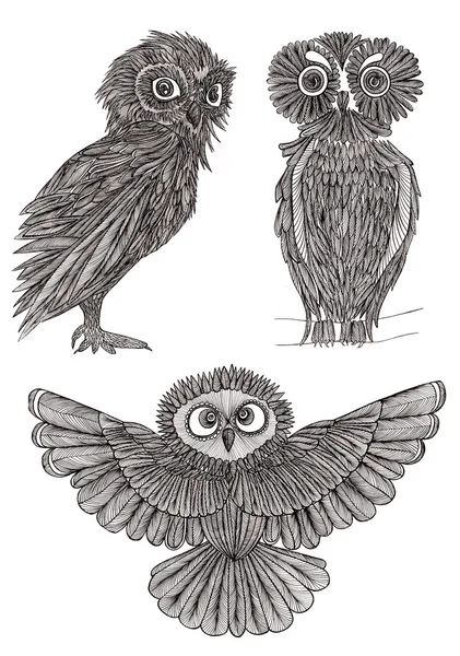 Graphic illustration owl. Black and white style. Hand drawn. — Stock Photo, Image