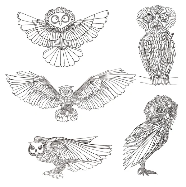 Graphic illustration owl. Black and white style. Hand drawn. — Stock Photo, Image