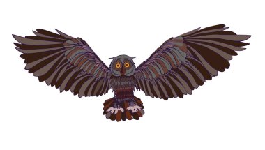 Uçan baykuş grafik resmini. Brown