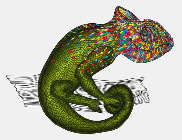 Chameleon.Profile lézard. — Photo