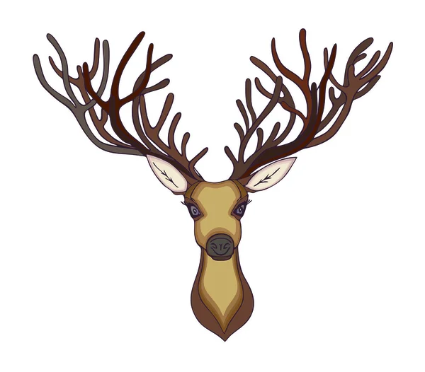 Deer head. Beautiful horns. speaking look — Stock Photo, Image