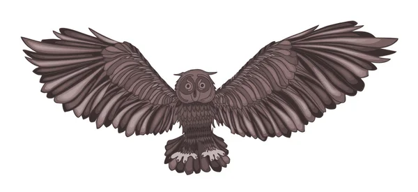 Ilustração gráfica da coruja voadora. Castanho — Fotografia de Stock