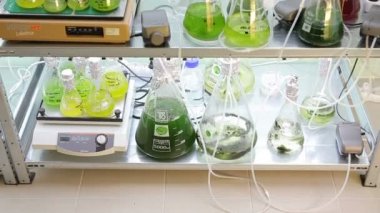 Brno, Çek Cumhuriyeti, 1 Kasım 2015: depolama, oksijen ve laboratuvar örnek hazırlama algler, kabarcıklar, Avrupa, AB