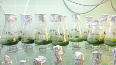 Brno, Çek Cumhuriyeti, 1 Kasım 2015: depolama, oksijen ve laboratuvar örnek hazırlama algler, kabarcıklar, Avrupa, AB