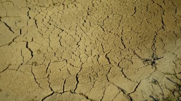 Lagoa seca rachado lago pântano, pântano muito secando a crosta do solo terra mudanças climáticas, desastre ambiental e rachaduras de terra muito, morte para plantas e animais, solo seco degradação — Vídeo de Stock