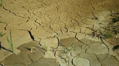 Çatlak kabuk kuraklığı nehir akıntısı sulak su, bataklık deresi nehirleri iklim değişikliğini kurutuyor, yüzey aşırı sıcak dalgası krize neden oluyor, çevresel felaketler dünya çatlakları, ölüm bitkileri...