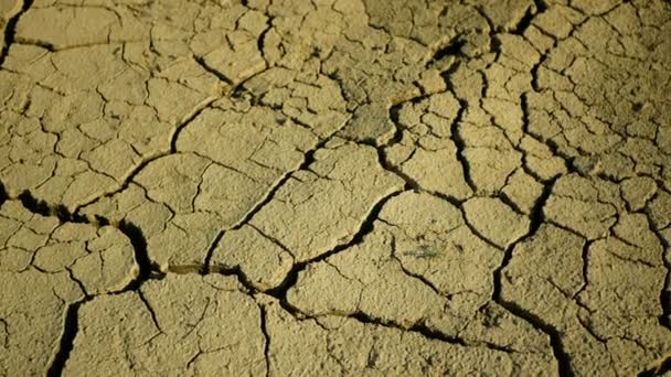 Cracked crust drought soil river stream wetland water, swamp creek rivulet drying up earth climate change, surface extreme heat wave caused crisis, environmental disaster earth cracks, death plants — Stock Video