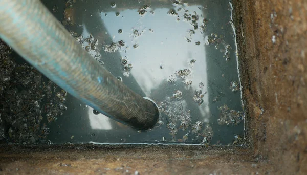 Septic cesspool emptying pumping into pipe tank by suction hose under high pressure. The sump contains pollution sludge sewage water black wastewater and faeces plus excrements from home — Stock Photo, Image