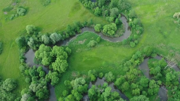 Rio delta rio meandro interior dron aéreo vídeo filmado em Floresta de várzea e planícies pântano pântano, quadricóptero vista voo voar show, área de paisagem protegida de Litovelske Pomoravi — Vídeo de Stock