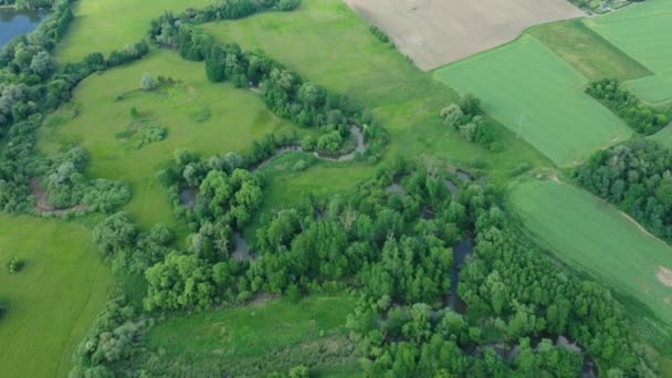 Meanders river delta river dron vídeo aéreo filmado no interior em Floresta de várzea e planícies pantanosas pântano, quadcopter view flying fly flight show, área de paisagem protegida de Litovelske Pomoravi — Vídeo de Stock