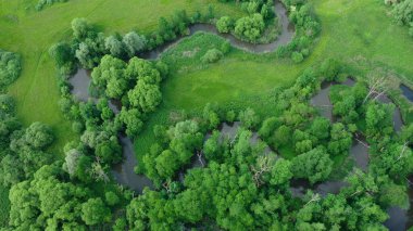 Bu arada nehir delta nehri dron hava aracı görüntüsü su baskını ormanlarında ve ovalarda bataklık, kuadkopter manzaralı uçuş gösterisi Litovelske Pomoravi 'nin koruma altındaki manzara alanı