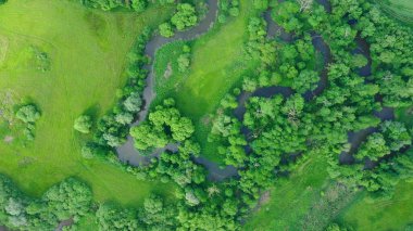 Nehir delta nehrinin kıvrımlı iç kesimlerinde su baskını ormanlarında ve ovalarda çekilmiş dron hava görüntüleri bataklık, kuadkopter manzaralı uçuş gösterisi Litovelske Pomoravi 'nin korunan manzara alanı