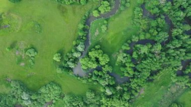 Nehir delta nehrinin kıvrımlı iç kesimlerinde su baskını ormanlarında ve ovalarda çekilmiş dron hava görüntüleri bataklık, kuadkopter manzaralı uçuş gösterisi Litovelske Pomoravi 'nin korunan manzara alanı