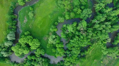 Nehir delta nehrinin kıvrımlı iç kesimlerinde su baskını ormanlarında ve ovalarda çekilmiş dron hava görüntüleri bataklık, kuadkopter manzaralı uçuş gösterisi Litovelske Pomoravi 'nin korunan manzara alanı