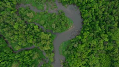 Bu arada nehir delta nehri dron hava aracı görüntüsü su baskını ormanlarında ve ovalarda bataklık, kuadkopter manzaralı uçuş gösterisi Litovelske Pomoravi 'nin koruma altındaki manzara alanı