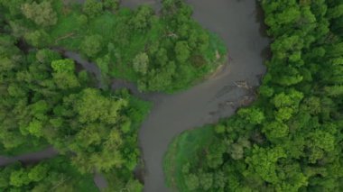 Nehir delta nehrinin kıvrımlı iç kesimlerinde su baskını ormanlarında ve ovalarda çekilmiş dron hava görüntüleri bataklık, kuadkopter manzaralı uçuş gösterisi Litovelske Pomoravi 'nin korunan manzara alanı