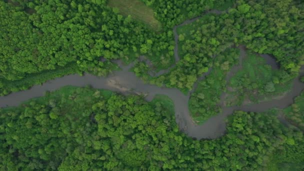 平均河川デルタ川のドロン空中ビデオは、氾濫原の森と低地湿地湿地で内陸に撮影しました,飛行飛行ショーを四分儀ビュー, Litovelske Pomoraviの保護された風景区 — ストック動画