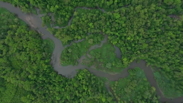 Meanders river delta river dron aerial video shot inland in floodplain forest and lowlands wetland swamp, quadcopter view flying fly flight show, protected landscape area of Litovelske Pomoravi — Stock Video