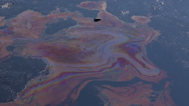 효과 자연 화학 물질 및 기름으로 오염 된 물에서 — 비디오