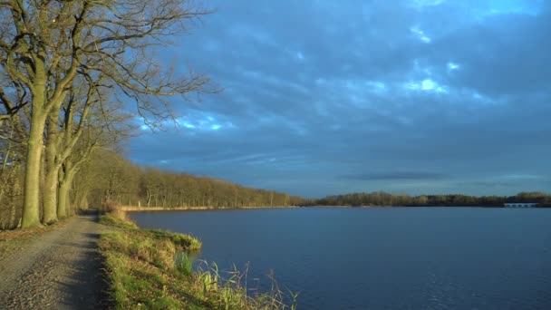 Solnedgång över dammen Vitek med en allé med träd — Stockvideo