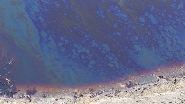 Auswirkungen auf die Natur durch mit Chemikalien und Öl kontaminiertes Wasser — Stockvideo