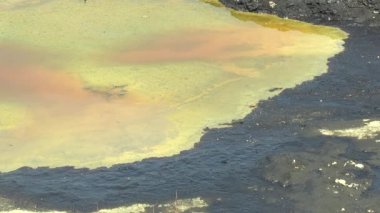 Kimyasal maddeler ve yağ ile kontamine su doğadan etkileri