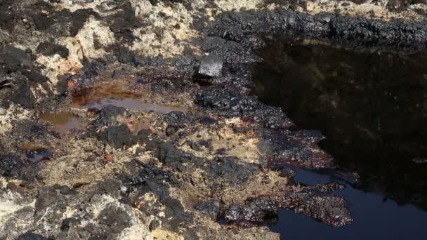 Auswirkungen auf die Natur durch mit Chemikalien und Öl kontaminierte Böden — Stockvideo