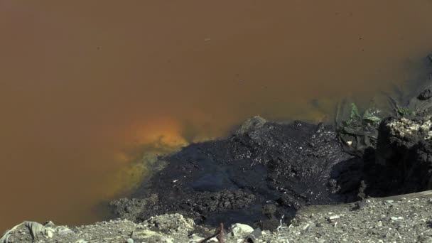 Efectos de la naturaleza del agua contaminada con productos químicos y aceite — Vídeo de stock