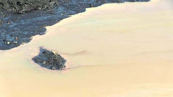 Efeitos da natureza da água contaminada com produtos químicos e óleo — Vídeo de Stock