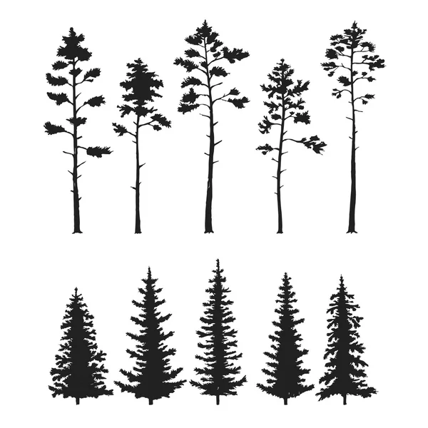 Vector set with pine trees isolated on white background — Stock Vector